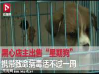 广州市商丰信息科技有限公司