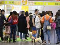 广州市商丰信息科技有限公司