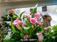 广州市商丰信息科技有限公司